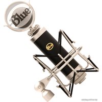 Проводной микрофон Blue Baby bottle