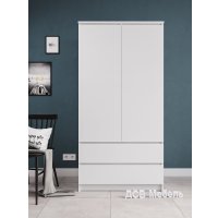 Шкаф распашной ДСВ Мори МШ 900.1/2