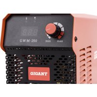 Сварочный инвертор Gigant GWM-250