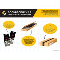 Набор цветных карандашей Vista-Artista Studio VACPS-12 (12 цв)