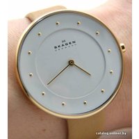 Наручные часы Skagen SKW2137 в Пинске