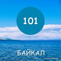 Краска Maxima 2.5 кг (№101 байкал)