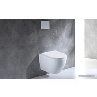 Унитаз подвесной CeramaLux 2196-1