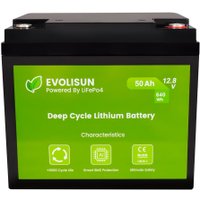 Аккумулятор для ИБП Evolisun EVOLISUN50Q10-LFP (12.8В/50Ач)
