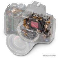 Зеркальный фотоаппарат Olympus E-620 Body