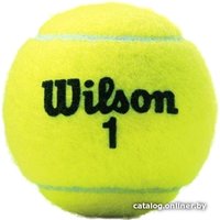 Набор теннисных мячей Wilson Championship Extra Duty WRT100101 (3 шт)