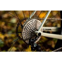 Велосипед Borant Phantom GRX800 M 2022 (бежевый)