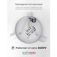 Припотолочная люстра TruEnergy 21491
