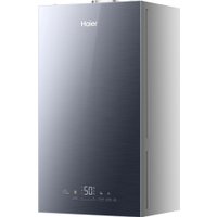 Отопительный котел Haier EvoLine 2.24 Ti