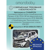 Детское автокресло Amarobaby Champion Isofix AMARO-2008CH-Gr (графит)