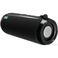 Беспроводная колонка More Choice BS22 (черный)