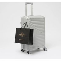 Чемодан-спиннер VALIGETTI 344-8022/2-24SLV (серебристый)