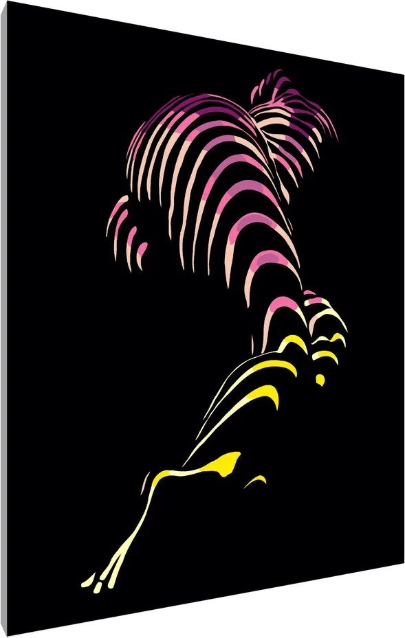 

Картина по номерам PaintLine Силуэт девушки PL-00095