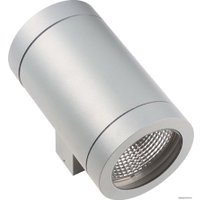 Уличный настенный светильник Lightstar Paro 351619