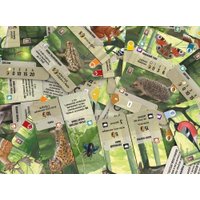 Карточная игра Стиль Жизни Смешанный лес