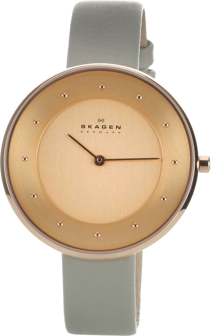 

Наручные часы Skagen SKW2139