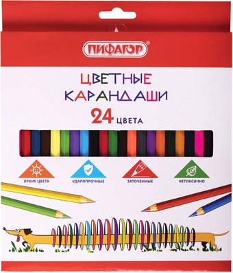 Набор цветных карандашей Пифагор Веселая такса 181808 (24цв)