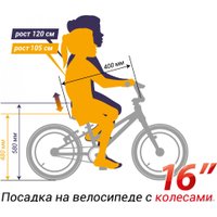 Детский велосипед Shulz Chloe 16 Race 2024 (белый)