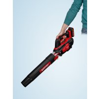 Ручная воздуходувка Wortex BB 2018 D ALL1 XLT Set 1333739 (с 1-им АКБ)