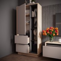 Шкаф распашной Аквилон Рэя №5.1 (туя светлый/кашемир)