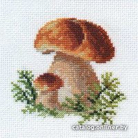 Набор для вышивания Алиса Белые грибы 0-144