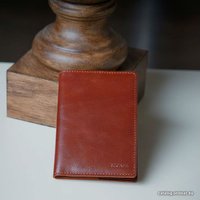 Обложка для паспорта EZcase C14.1 (коричневый)