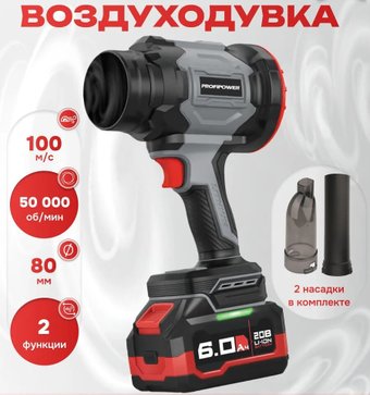 Садовая воздуходувка Profipower Ураган PLUS P972 (с 1-им АКБ)