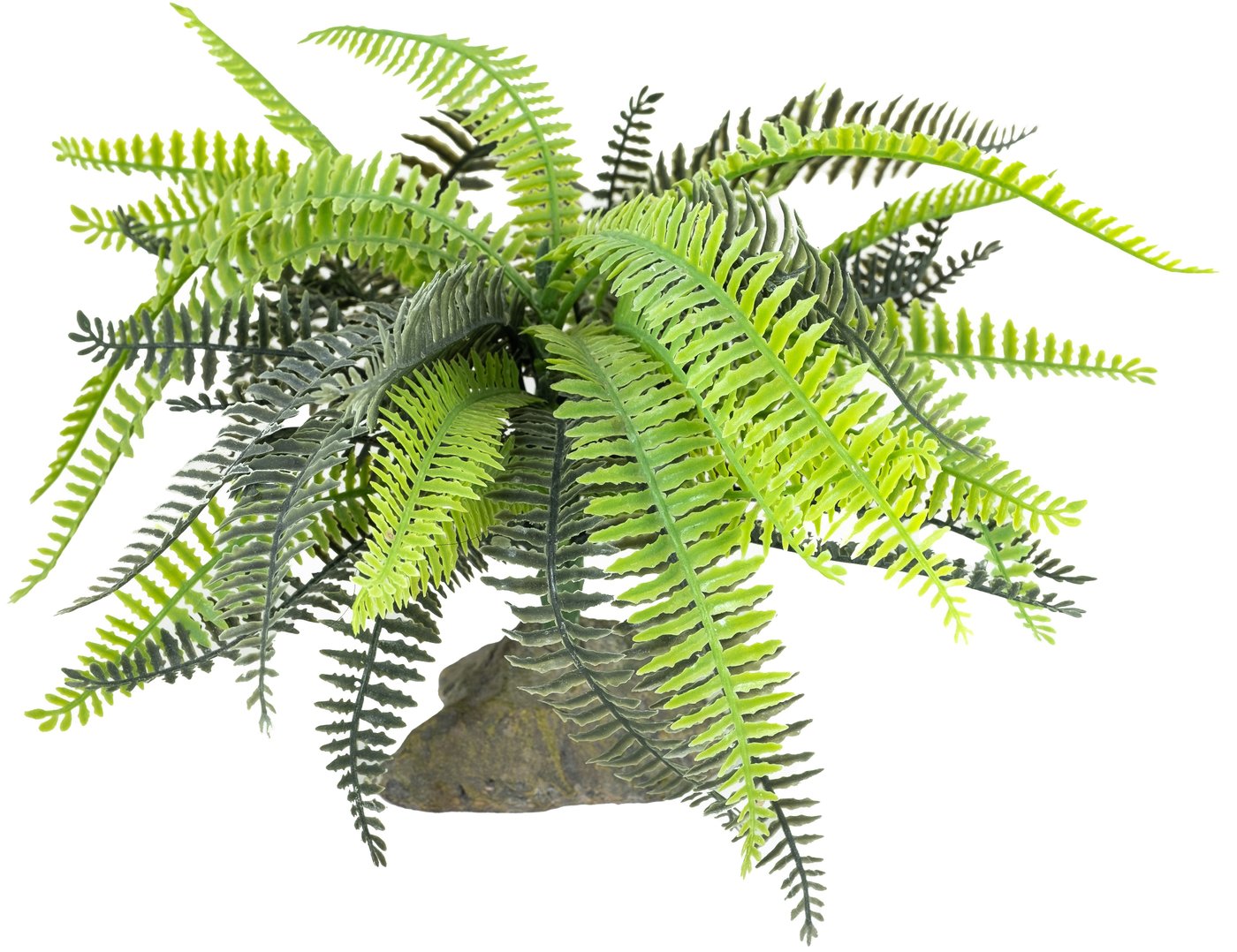 

Искусственное растение Lucky Reptile Fern IF-101