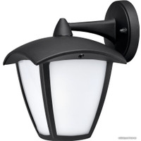 Уличный настенный светильник Arte Lamp Savanna A2209AL-1BK