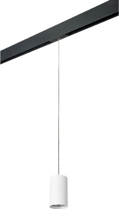 

Трековый светильник Lightstar Rullo PRORP436