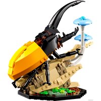 Конструктор LEGO Ideas 21342 Коллекция насекомых