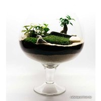 Флорариум Home Garden Бокал Большой с Фикусом и Фиттонией