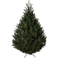Елка GreenTerra Босния (1.8м)