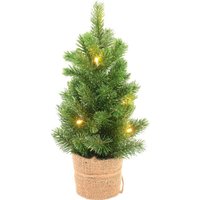 Ель Erbis PE Zielona LED 40