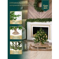 Ель Царь Елка Астерия премиум 60см 3D АСТР/ПР-60