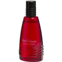 Туалетная вода Real Time Red Canyon Men EdT (100 мл)