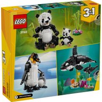 Конструктор LEGO Creator 31165 Дикие животные семейство панд