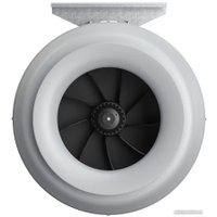 Осевой вентилятор ERA D250 Pro Cyclone 250
