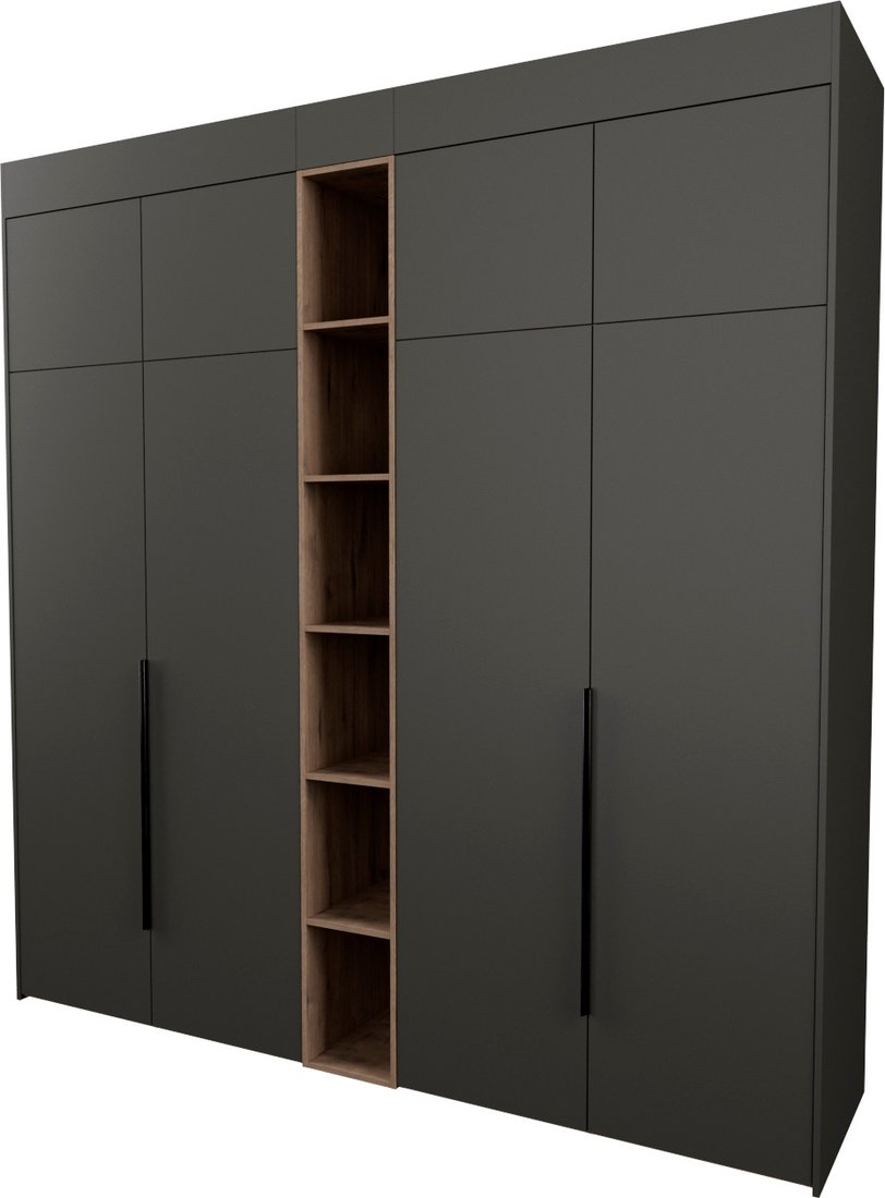 

Шкаф распашной Рэйгрупп Рэй S262-В10-3-WKW В10-3 (дуб веллингтон/кобальт)