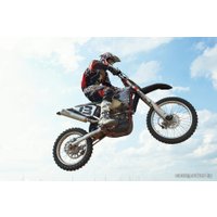 Мотоцикл M1NSK RX 250