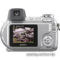 Фотоаппарат Sony Cyber-shot DSC-H2