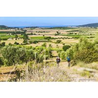 Велосипед Cube ACID 26 (2013)