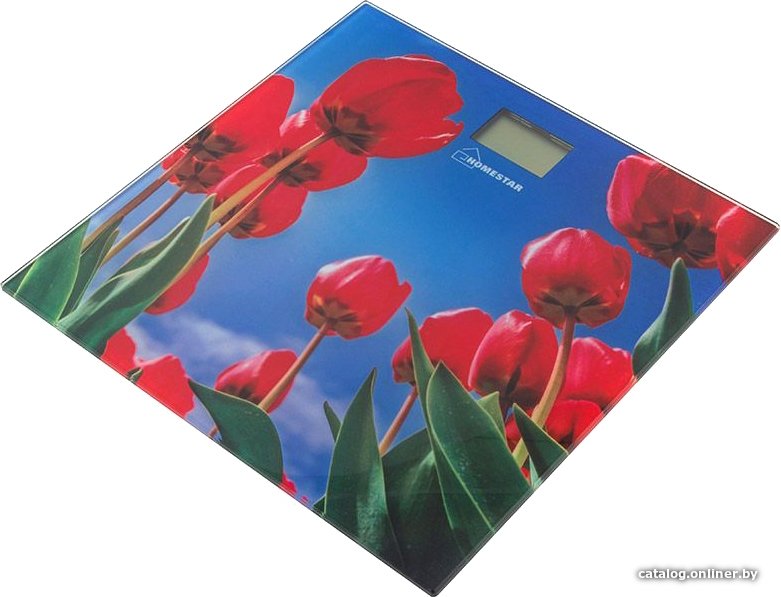 Напольные весы HomeStar HS-6001I