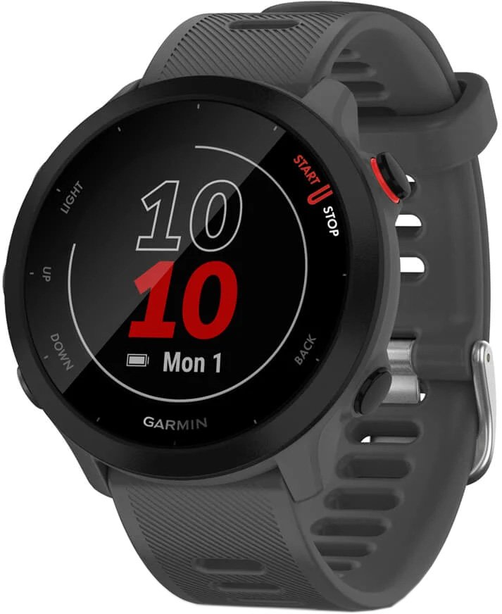 

Умные часы Garmin Forerunner 55 (серый)