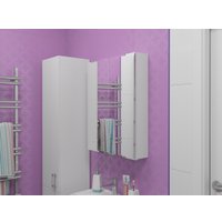  Какса-А Шкаф с зеркалом для ванной Лайт 55 460686