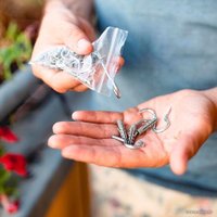 Сетка безопасности  Ferplast Cat Net XS 85182300