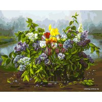 Картина по номерам Белоснежка Утренний сюрприз 218-АВ