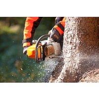 Бензопила STIHL MS 362