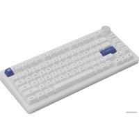 Клавиатура Akko PC75B Plus White & Blue (Akko CS Jelly Black)