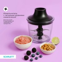 Погружной блендер Scarlett SC-HB42F88